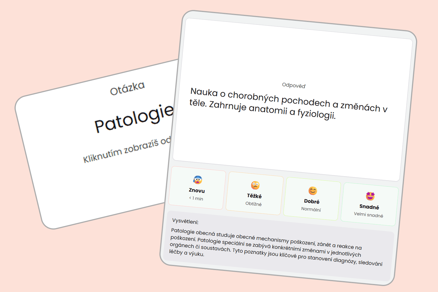 AI flashcards in the diStudero app